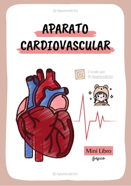 Aparato Cardiovascular