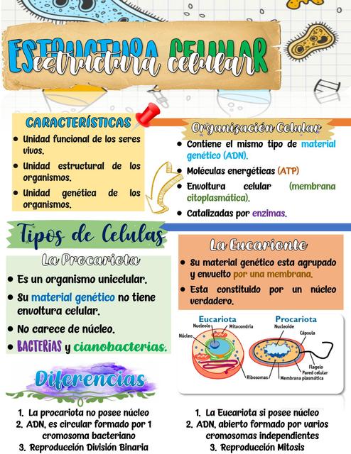 ESTRUCTURA CELULAR (LA CÉLULA)