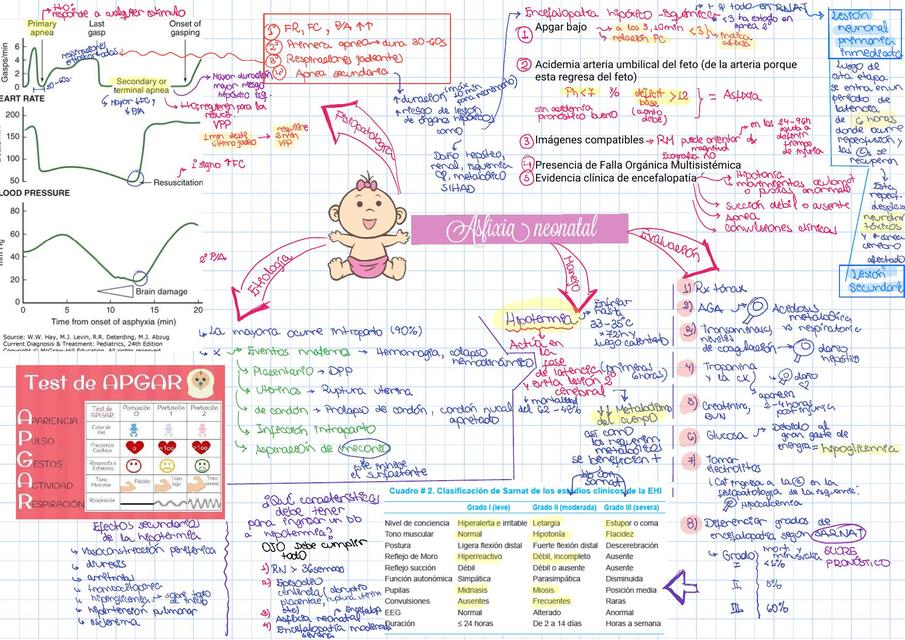 Mapa mental: Asfixia neonatal