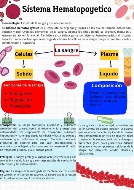 Sistema Hematopoyetico