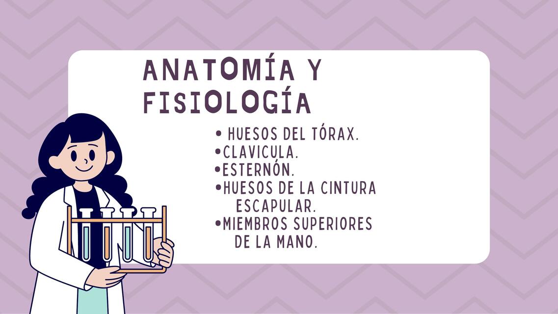 Anatomía y fisiología