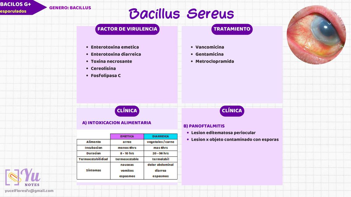 Bacillus Sereus