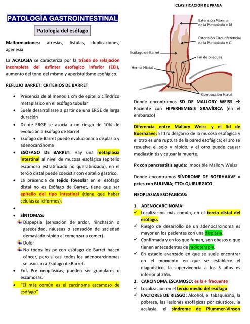 Patología Gastrointestinal  