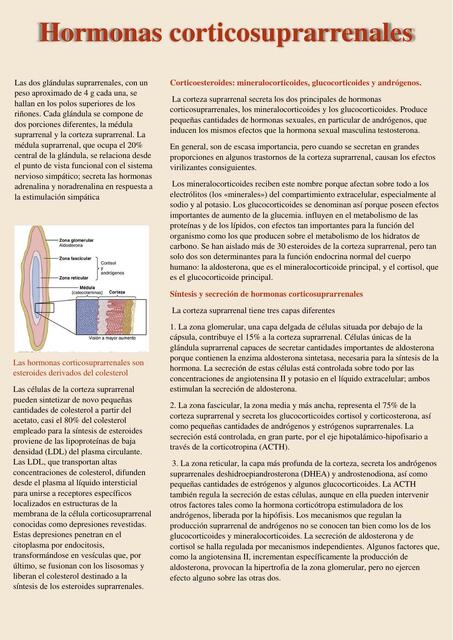 Hormonas corticosuprarrenales 