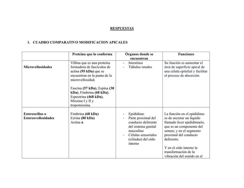 Cuadro comparativo