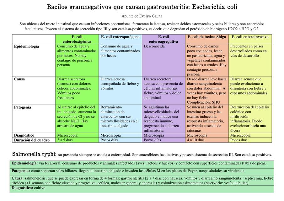 Bacilos gramnegativos que causan gastroenteritis: Escherichia coli 