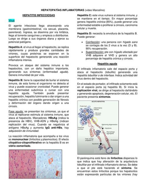 Hepatitis Infecciosas 