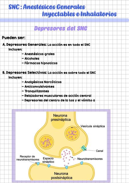 Anestésicos generales 