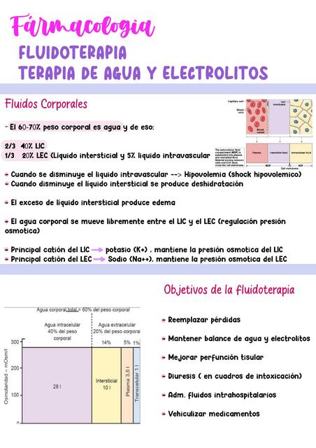 Resumen fluidoterapia fármaco cátedra 2  