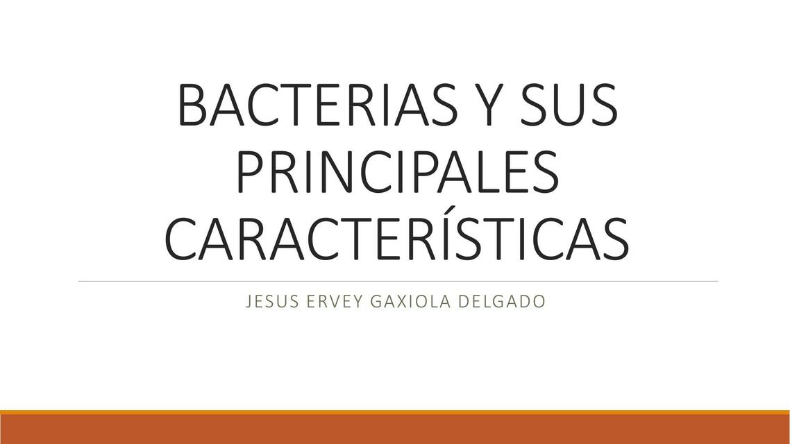 Bacterias y sus principales características 