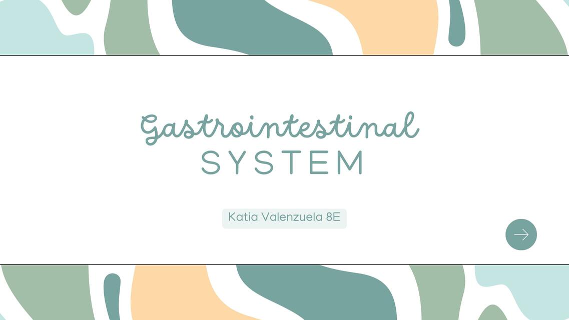 Gastrointestinal System