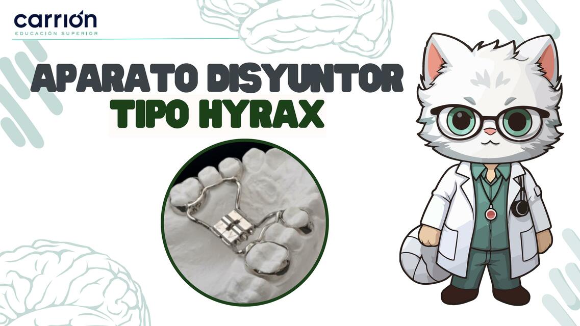 Aparato Disyuntor Tipo Hyrax