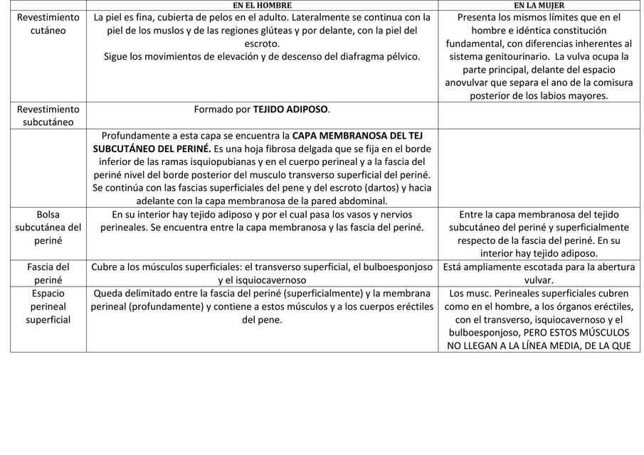 Anatomía Periné cuadro comparativo