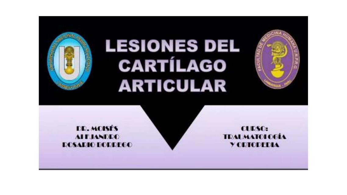 Lesiones del cartílago articular