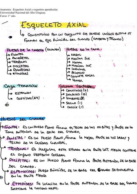 Anatomía esqueleto axial y apendicular 1