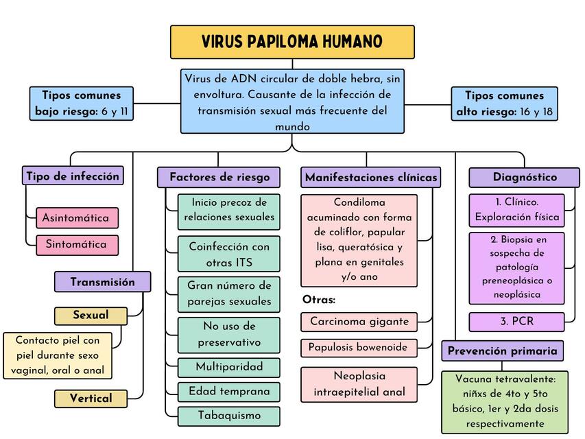 VPH Adolescentes - Mapa Conceptual