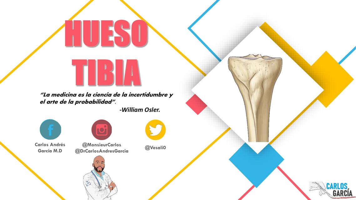 Anatomía - Hueso Tibia por Carlos Andrés García | Dr. Carlos Andrés ...