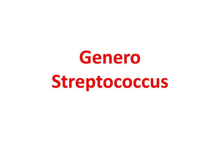 Género streptococcus