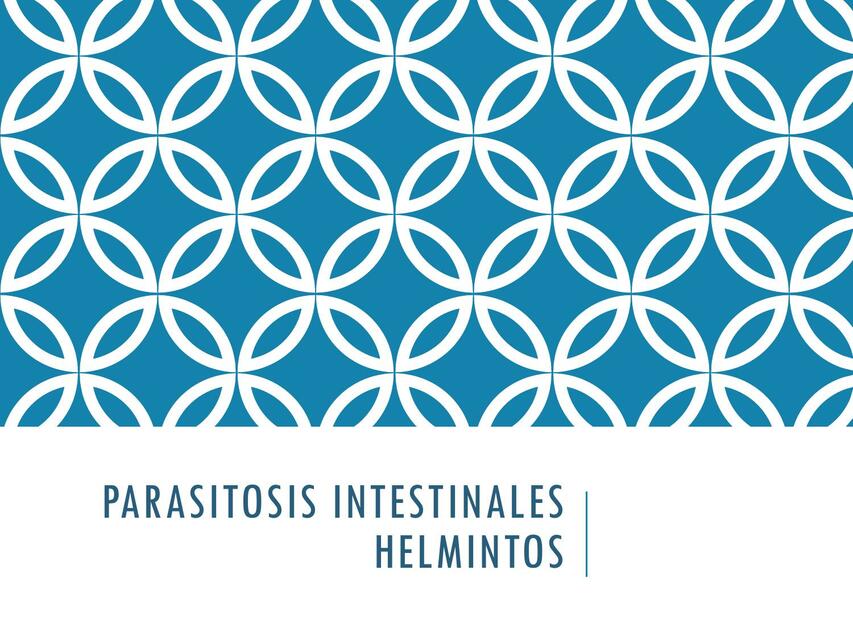 Parasitosis intestinales helmintos 