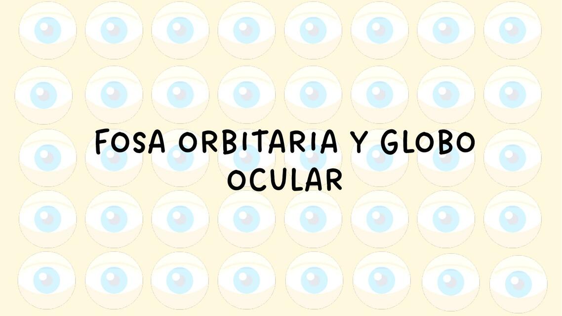 Fosa orbitaria y globo ocular