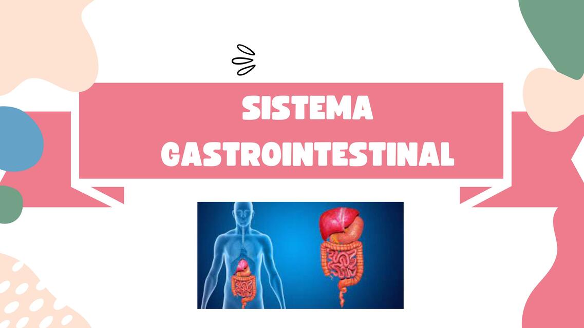 Sistema gastrointestinal