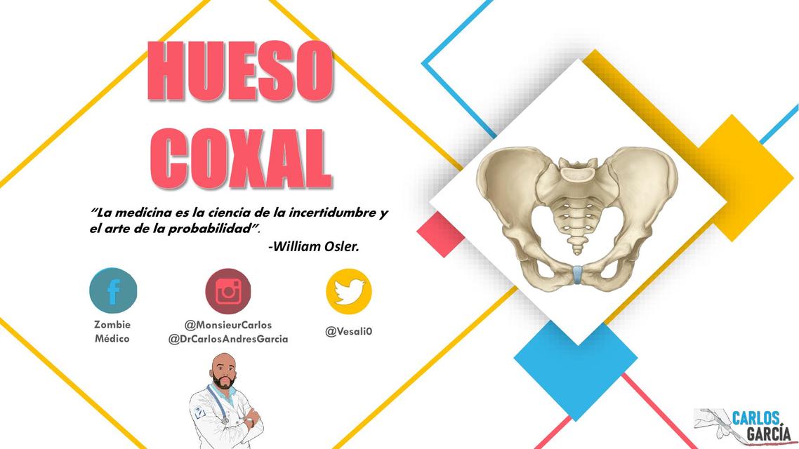 Anatomía - Hueso Coxal por Carlos Andrés García 