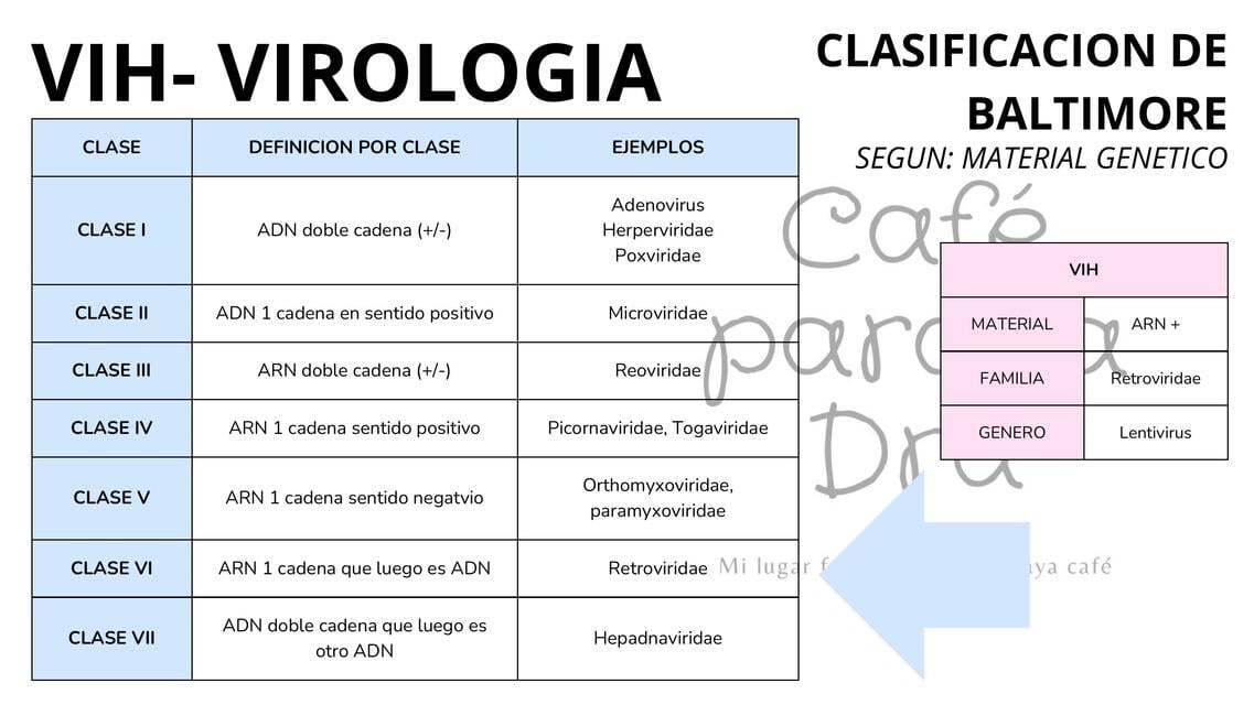 MICROBIOLOGIA: CLASIFICACION DE LOS VIRUS | Dra. Baltodano | uDocz