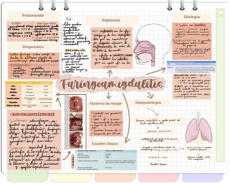 Faringoamigdalitis apunte completo