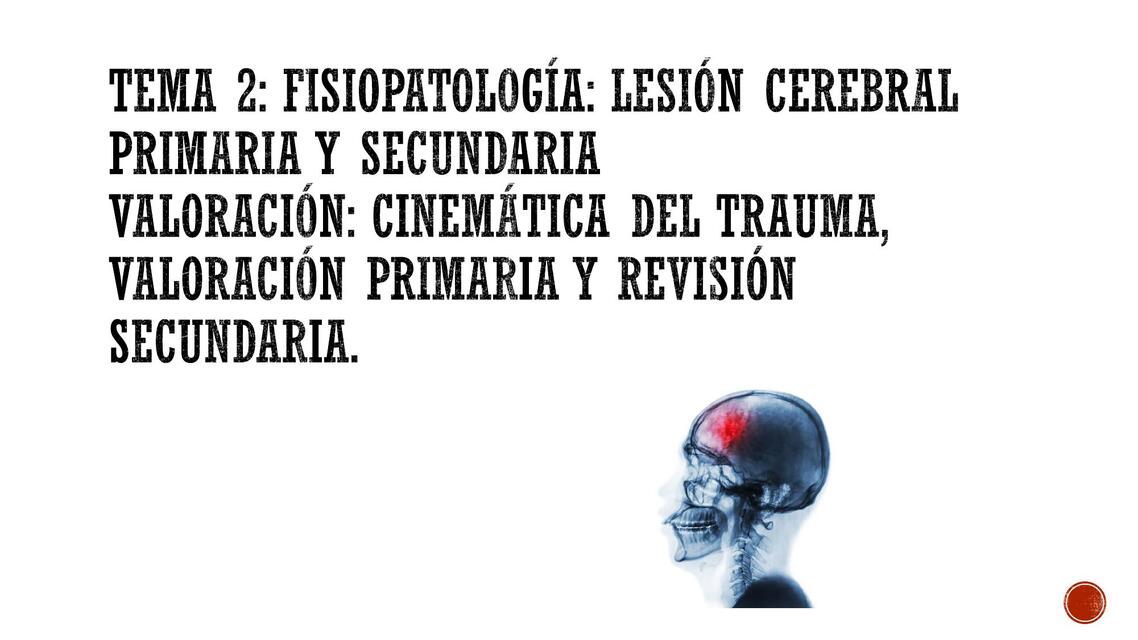 Lesión Cerebral 