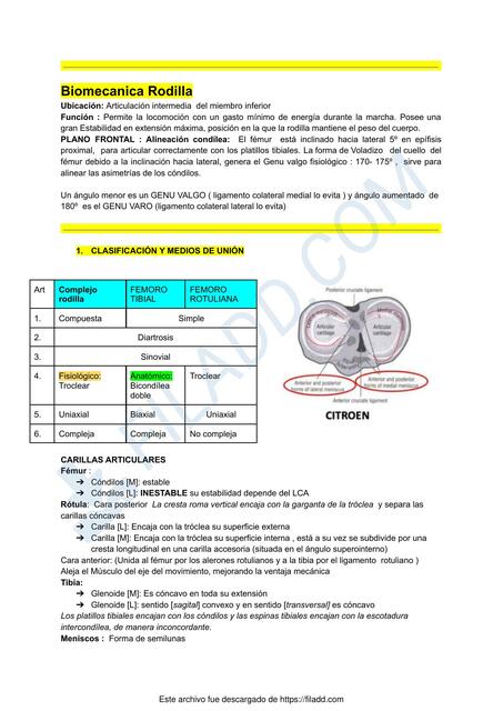 Biomecanica Rodilla 