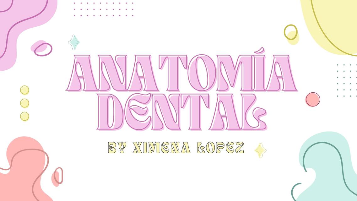 Anatomía dental