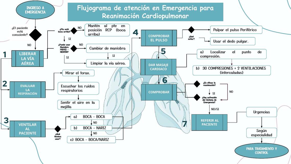 Reanimación Cardiopulmonar