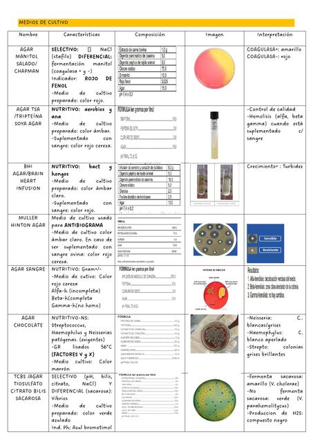 Medios de cultivo 