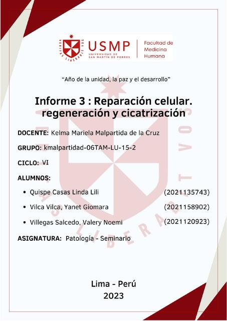 Informe 3 : reparación celular, regeneración y cicatrización 