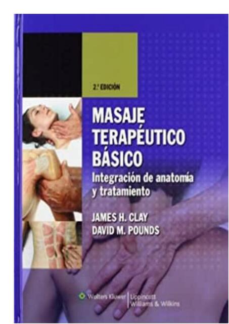 Masaje terapeutico basico   