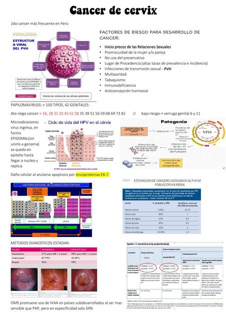 Cáncer de cérvix 