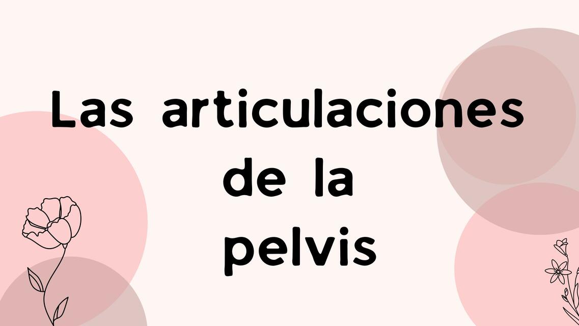 Las Articulaciones de la Pelvis 