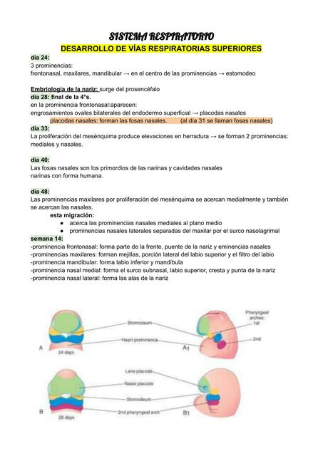 EMBRIOLOGÍA TODO 1