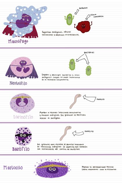 Células del sistema inmune