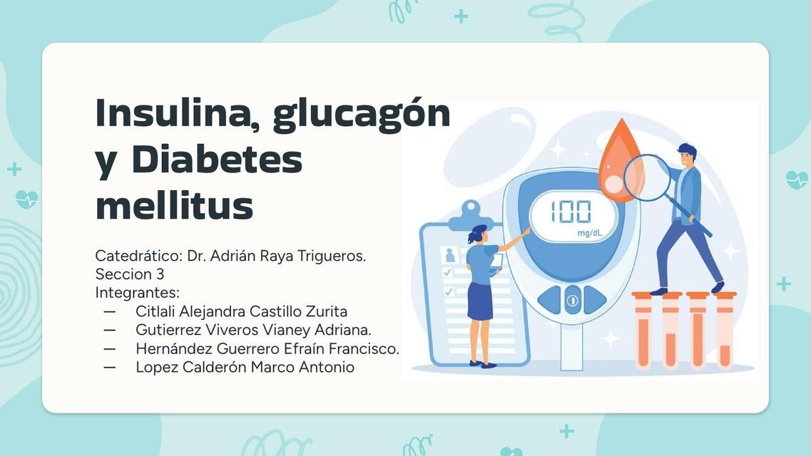 Insulina glucagón y diabetes mellitus