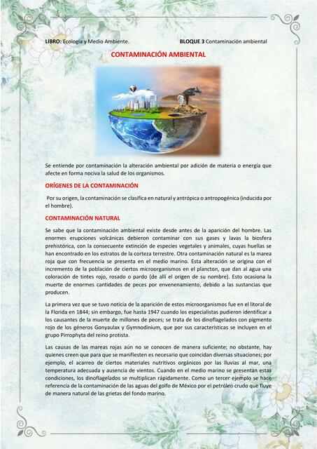 Contaminacion ambiental 