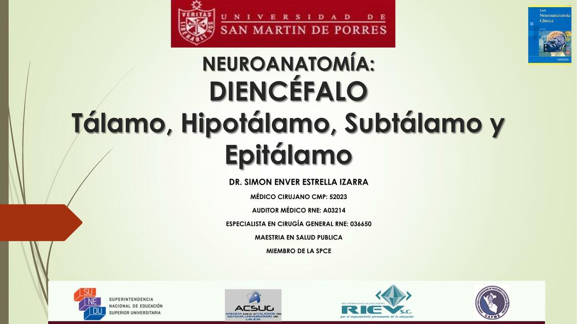 DIENCÉFALO Tálamo y Subtálamo Camila Silva uDocz