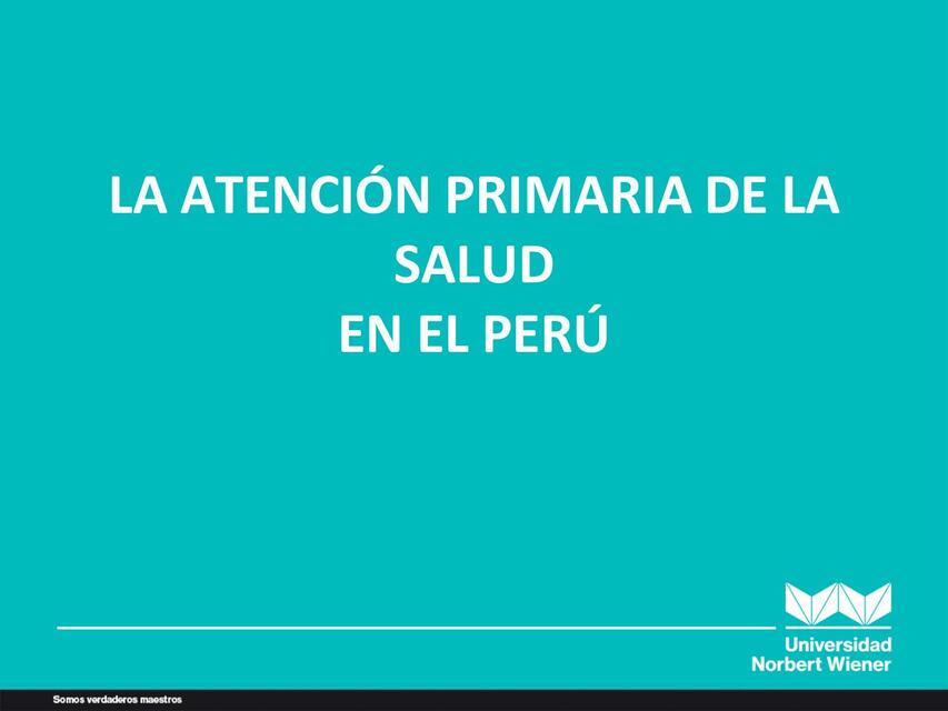 LA ATENCIÓN PRIMARIA DE LA SALUD | Erica AF | uDocz