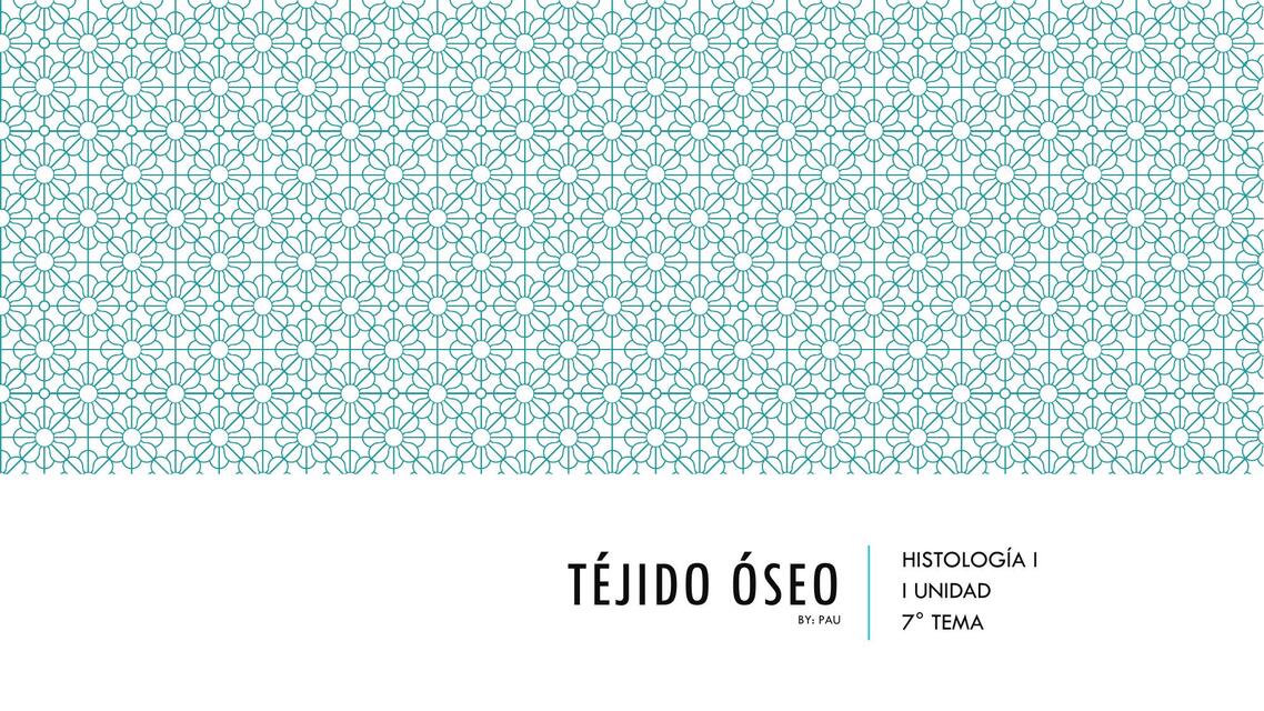 Tejido Óseo  