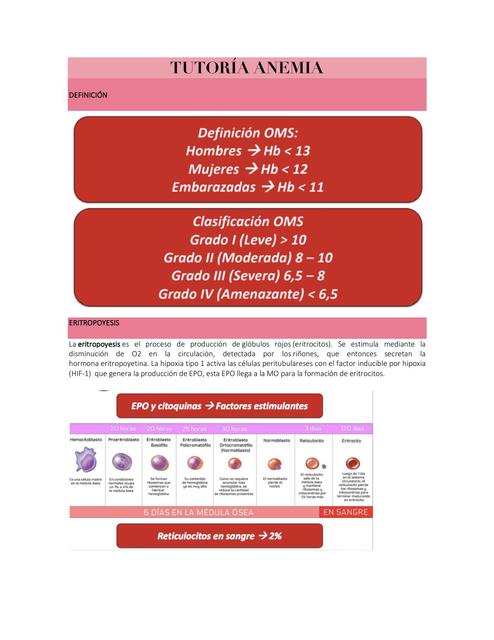 TUTORÍA ANEMIA