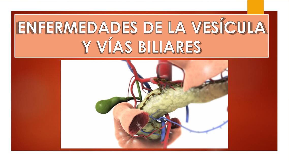 Enfermedades de la vesícula y vías biliares 