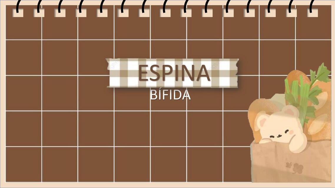 Espina bífida 