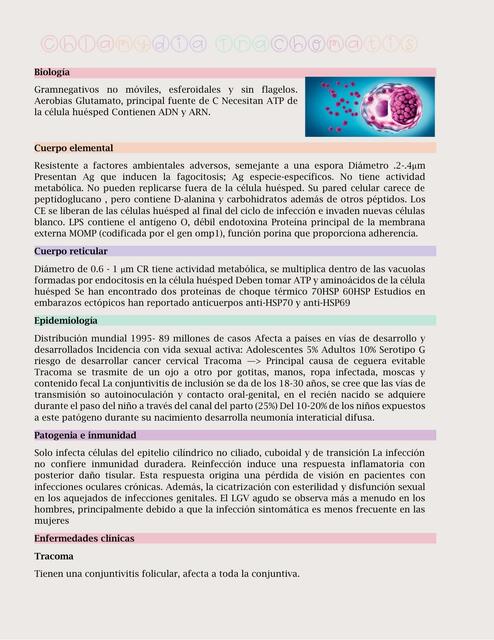 Chlamydia Trachomatis