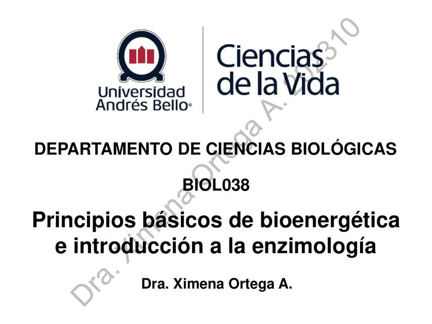 Bioenergética y enzimas