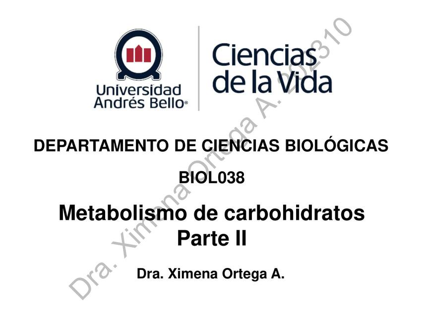 Metabolismo de carbohidratos 